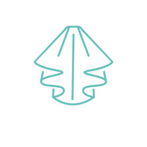 pranie welonu bydgoszcz